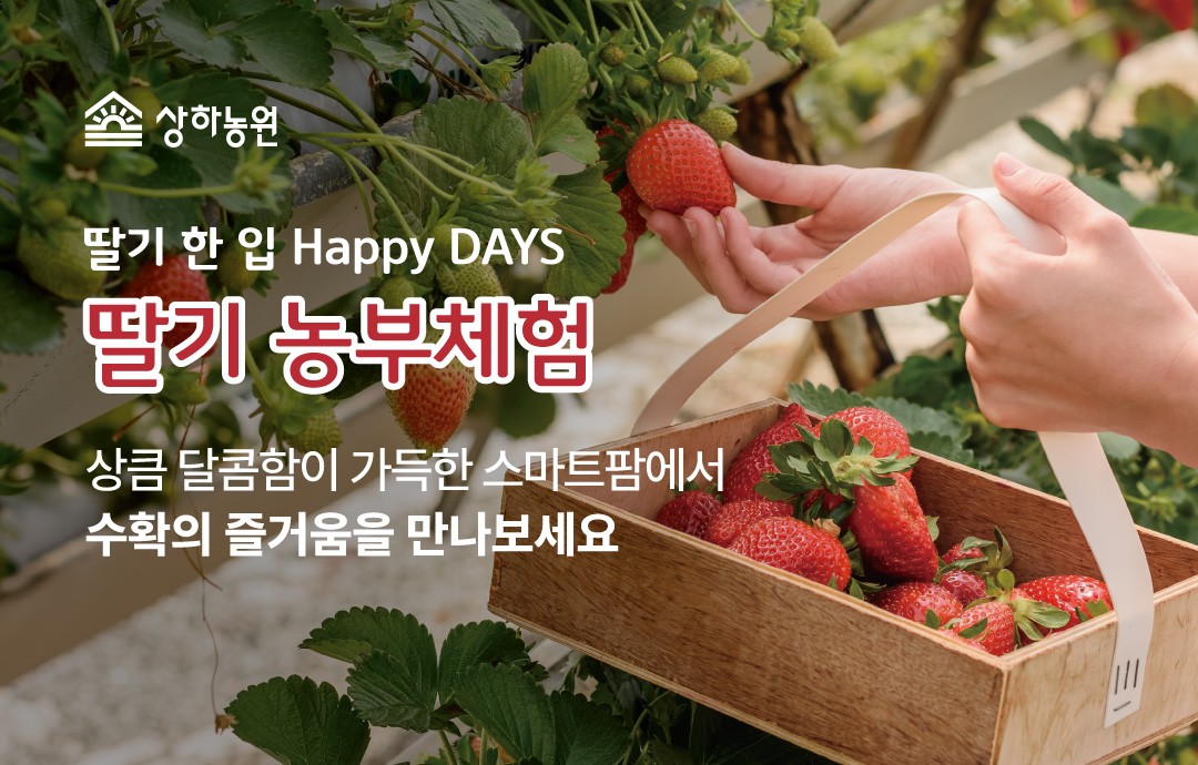 [이벤트] [상하농원] 딸기 한 입🍓Happy DAYS!
